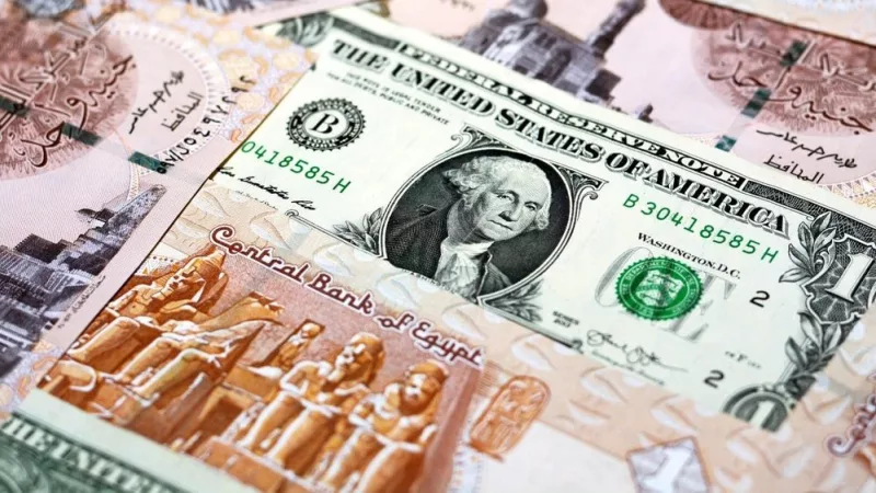 Dollar Price in Egypt Holds at EGP 47.30 for Buying in Banks