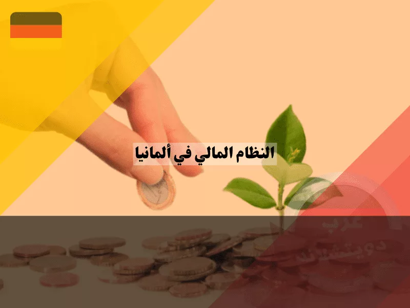 Warnings Over Declining Cash Payments in Germany and Consumer Impact