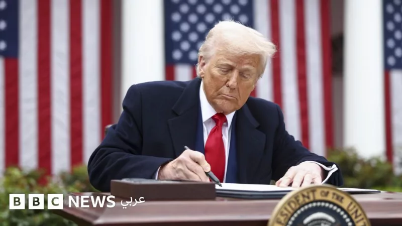 Ifo: Trump Tariffs Place Lasting Burden on German Economy