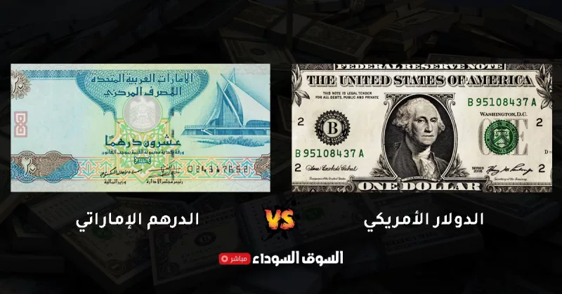 US Dollar Against UAE Dirham Holds Steady Near 3.67