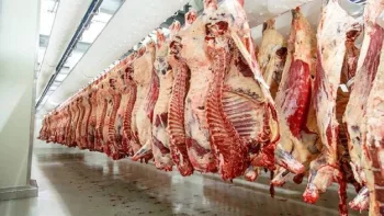 China’s Trade Barrier: Beijing Imposes Strict Quotas on Beef Imports to Shield Local Farmers