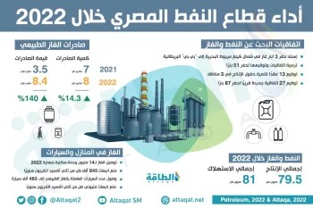 Egyptian Petroleum Authority launches digital platform to enhance environmental performance