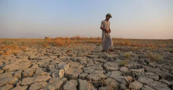 الأمطار تنعش الزراعة في ذي قار بعد عام من الجفاف