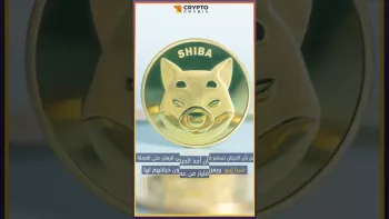 نشاط حيتان شيبا إينو يبلغ ذروة جديدة مع معاملات ضخمة