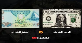 US Dollar Against UAE Dirham Holds Steady Near 3.67